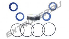 Seal kit of the hydraulic cylinder TSI 2000-0210-1001