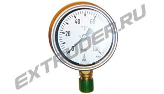 Manometer 100 bar Reinhardt Technik 40052700